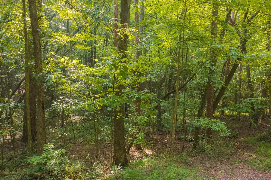 0 Wildwood Trail, Talking Rock, GA 30175 - #3