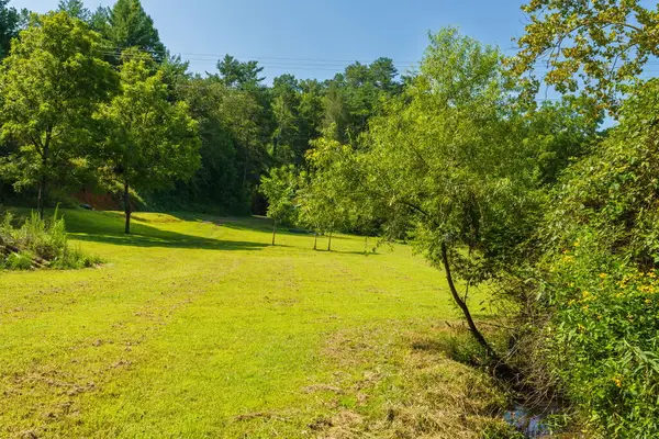45 Green Cove Road, Brasstown, NC 28902