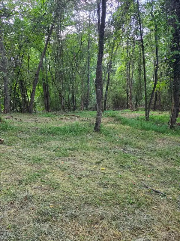 Lot 1 Thurman Street, McCaysville, GA 30555
