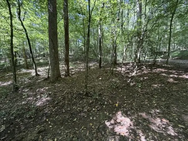 Tr. B&C Bear Hollow Way, Cherry Log, GA 30522