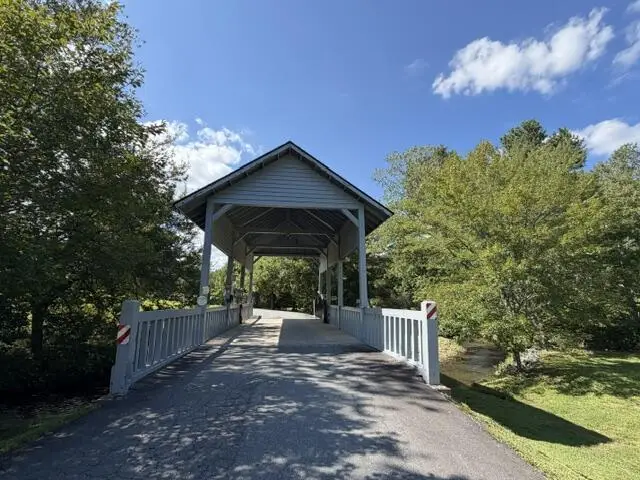 Tr. B&C Bear Hollow Way, Cherry Log, GA 30522 - #3