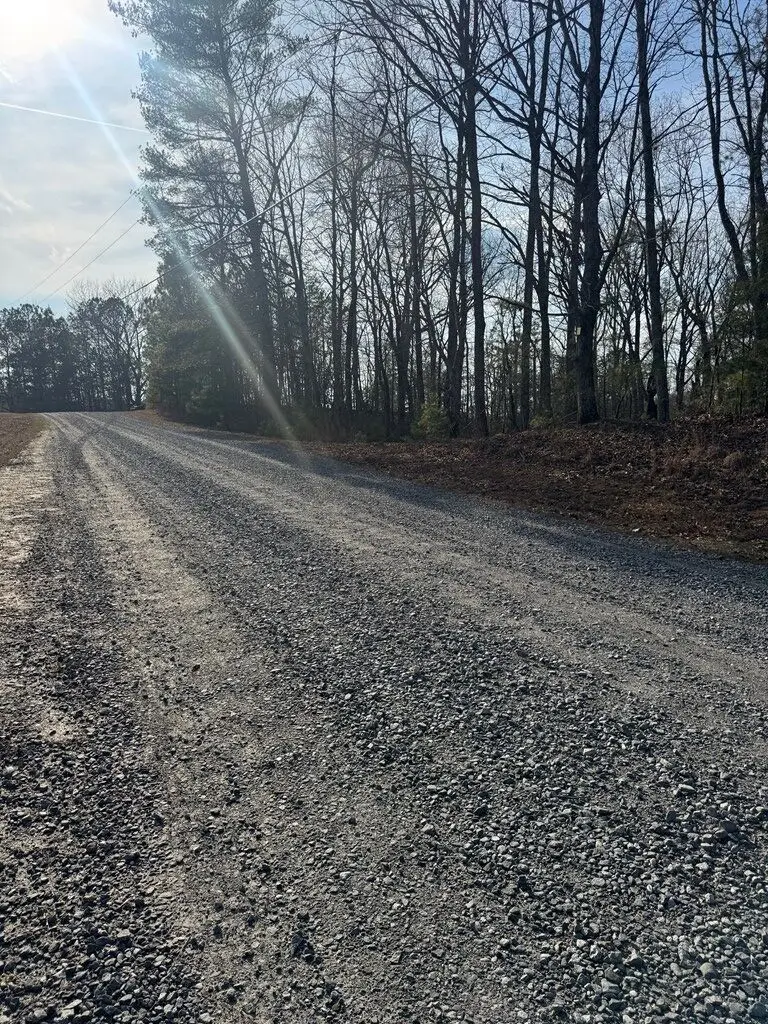 208 Lake Forest Drive, Ellijay, GA 30540 - #2