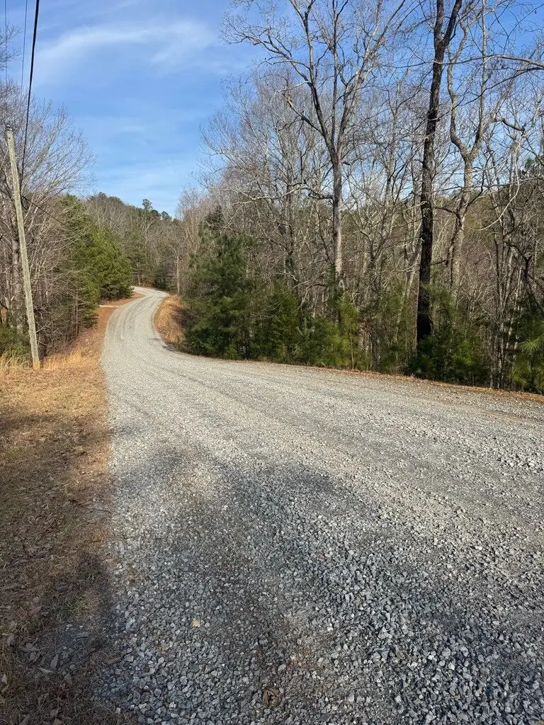 208 Lake Forest Drive, Ellijay, GA 30540 - #3