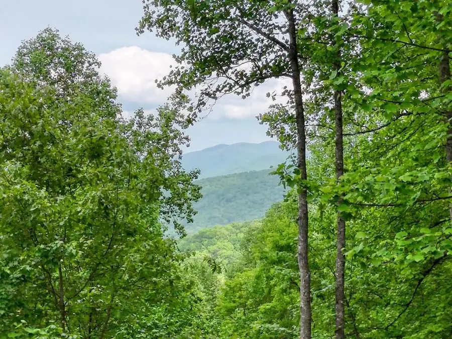 1710 Summit Trail, Hiawassee, GA 30546 - #2