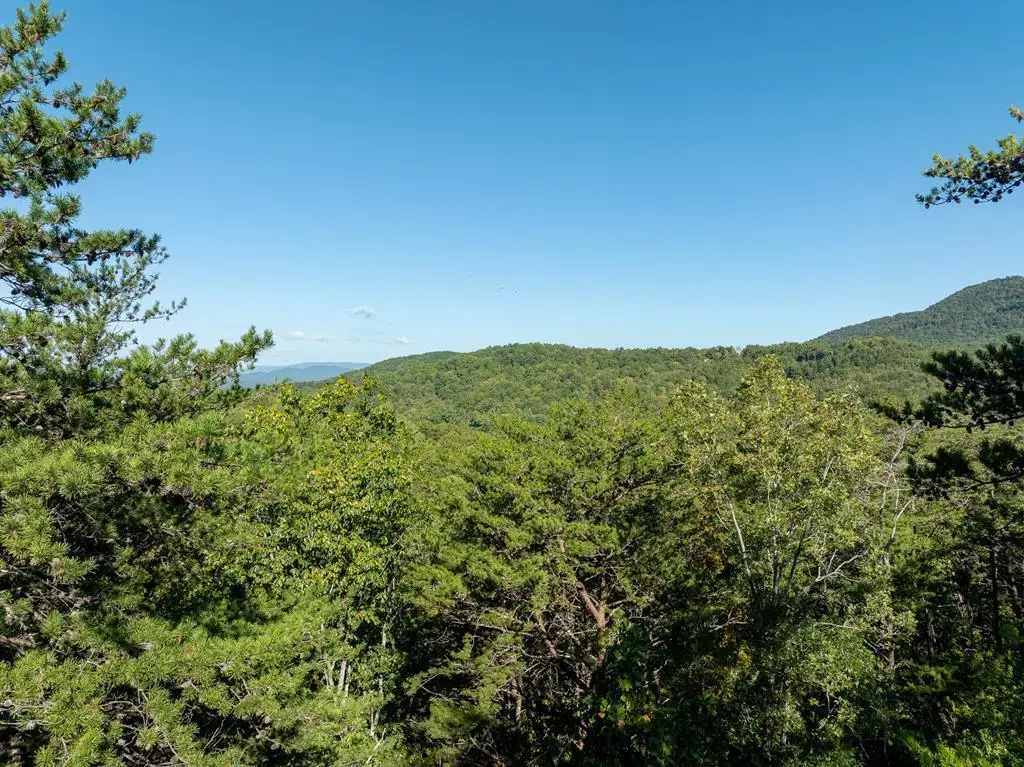 Tract 1 Turniptown Road, Ellijay, GA 30536 - #1