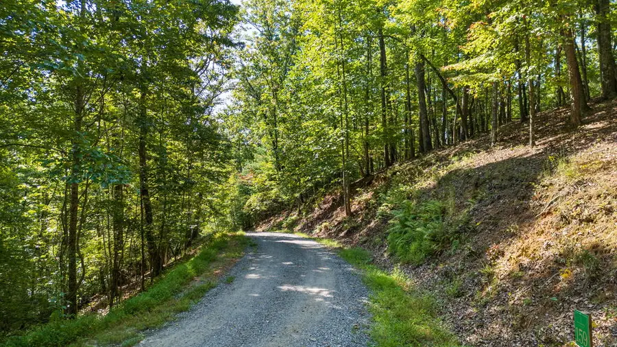 LOT 159 Tracks Hollow, Murphy, NC 28906 - #3