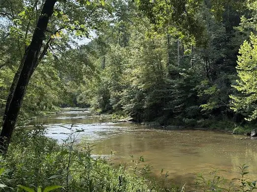 331 Rushing River Road, Talking Rock, GA 30175 - #1