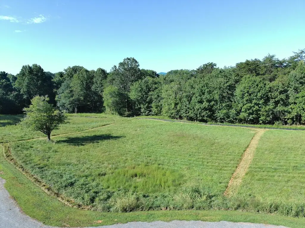 Lot 3 Redridge Road, Morganton, GA 30560 - #1