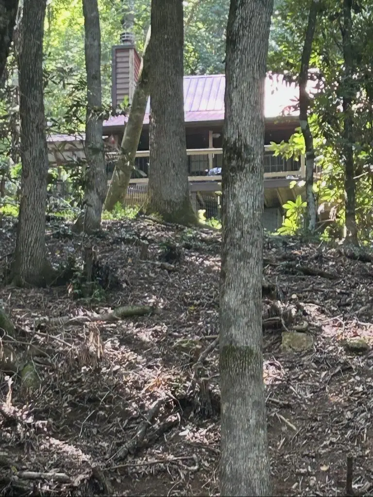 7449 Cassie Lane, Hiawassee, GA 30546 - #3