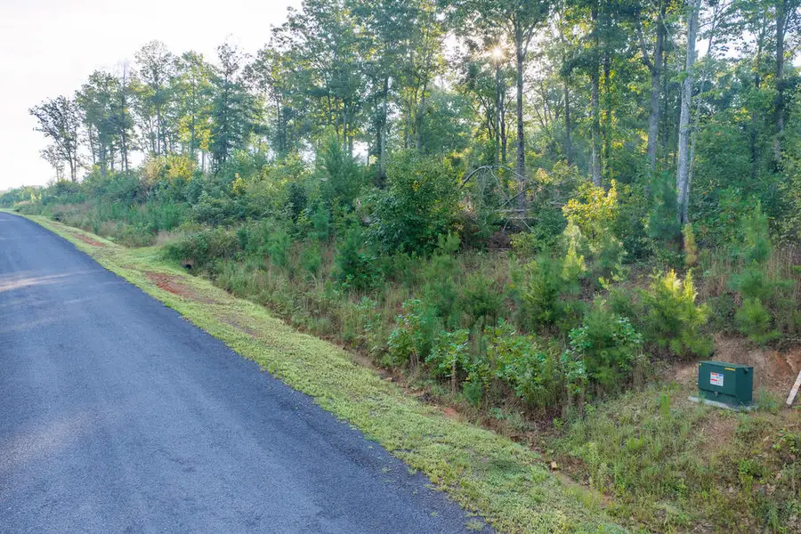 Lot 191 Oak Park Drive, Talking Rock, GA 30175 - #2