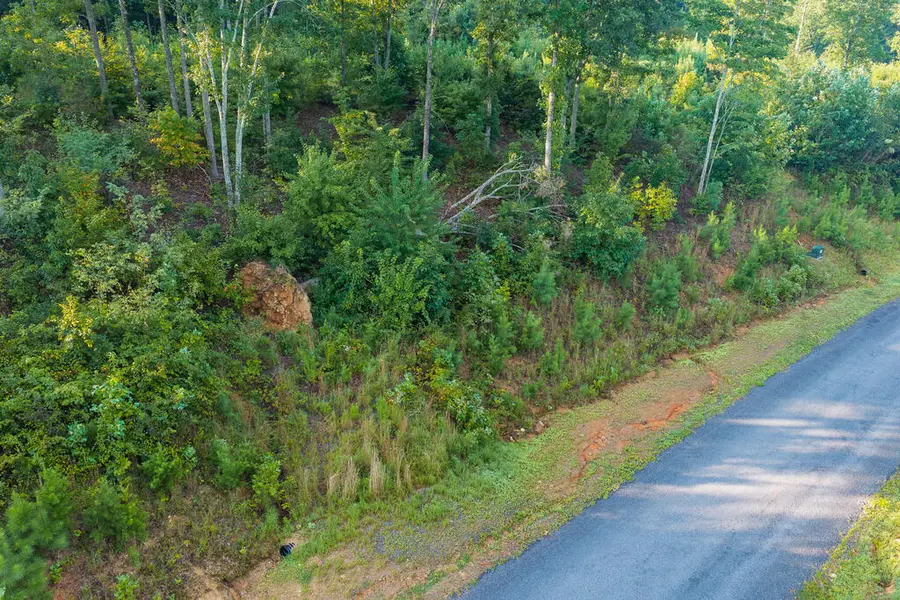 Lot 191 Oak Park Drive, Talking Rock, GA 30175 - #3