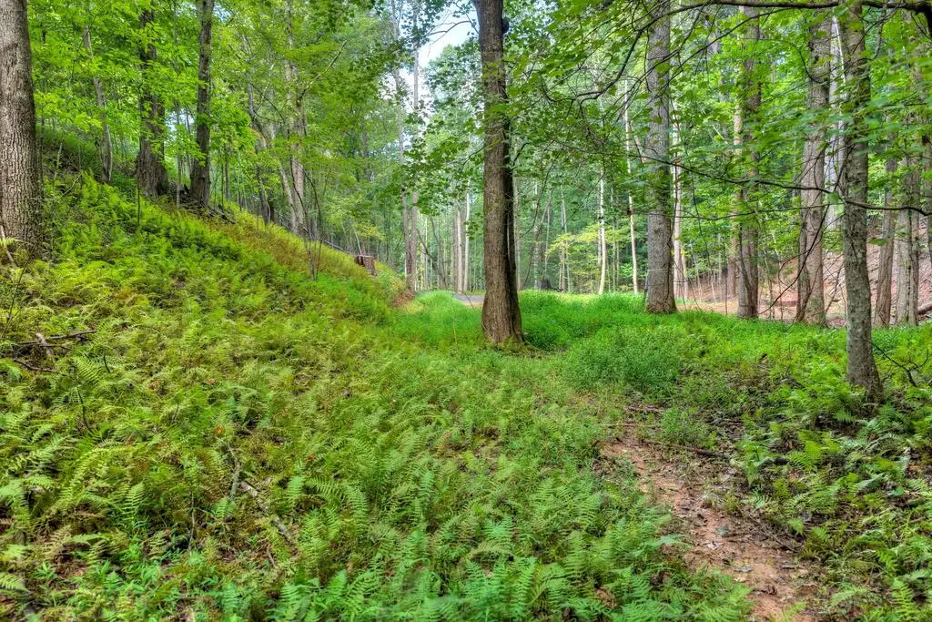 00 River Way, Blue Ridge, GA 30513 - #1