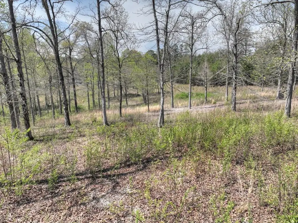 6 Arbor Creek Trail, Mineral Bluff, GA 30559 - #1