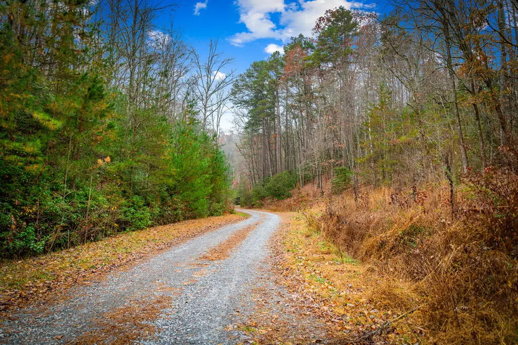 5.97AC Bullen Gap Road, Blue Ridge, GA 30513 - #1