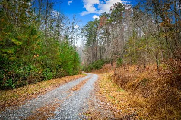 5.97AC Bullen Gap Road, Blue Ridge, GA 30513