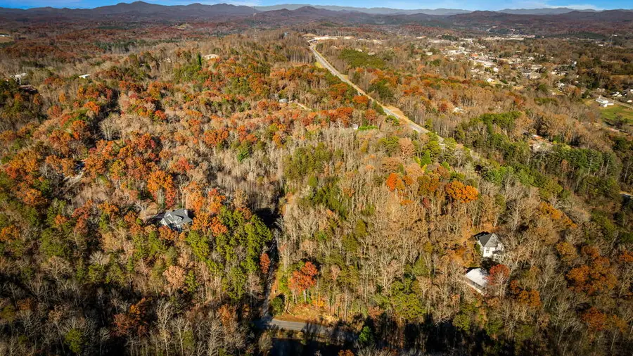 5.97AC Bullen Gap Road, Blue Ridge, GA 30513 - #2