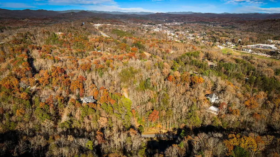 5.97AC Bullen Gap Road, Blue Ridge, GA 30513 - #3