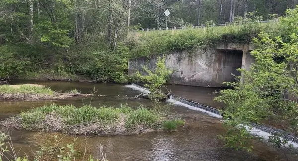 Track19A Hwy 2, Blue Ridge, GA 30513