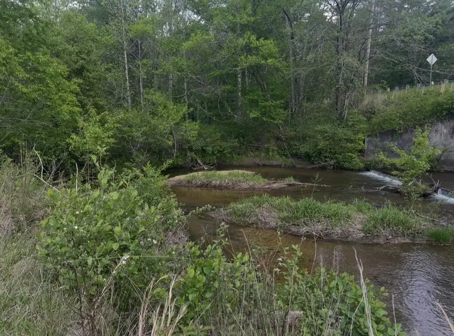Track19A Hwy 2, Blue Ridge, GA 30513 - #2