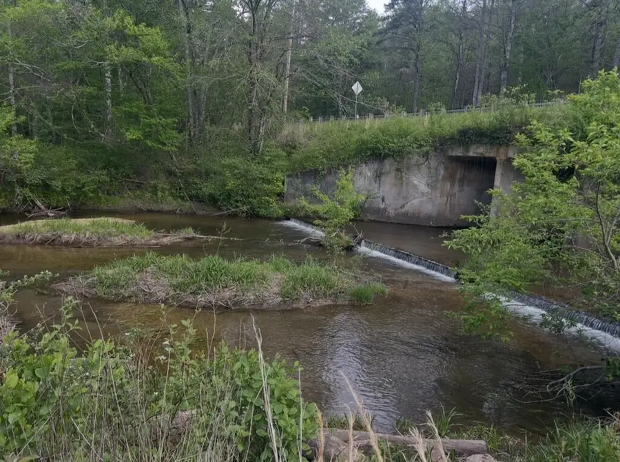 Track19A Hwy 2, Blue Ridge, GA 30513 - #3