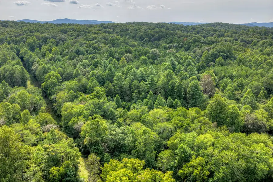 4.70 ac Chestnut Gap Lane, Blue Ridge, GA 30513 - #2