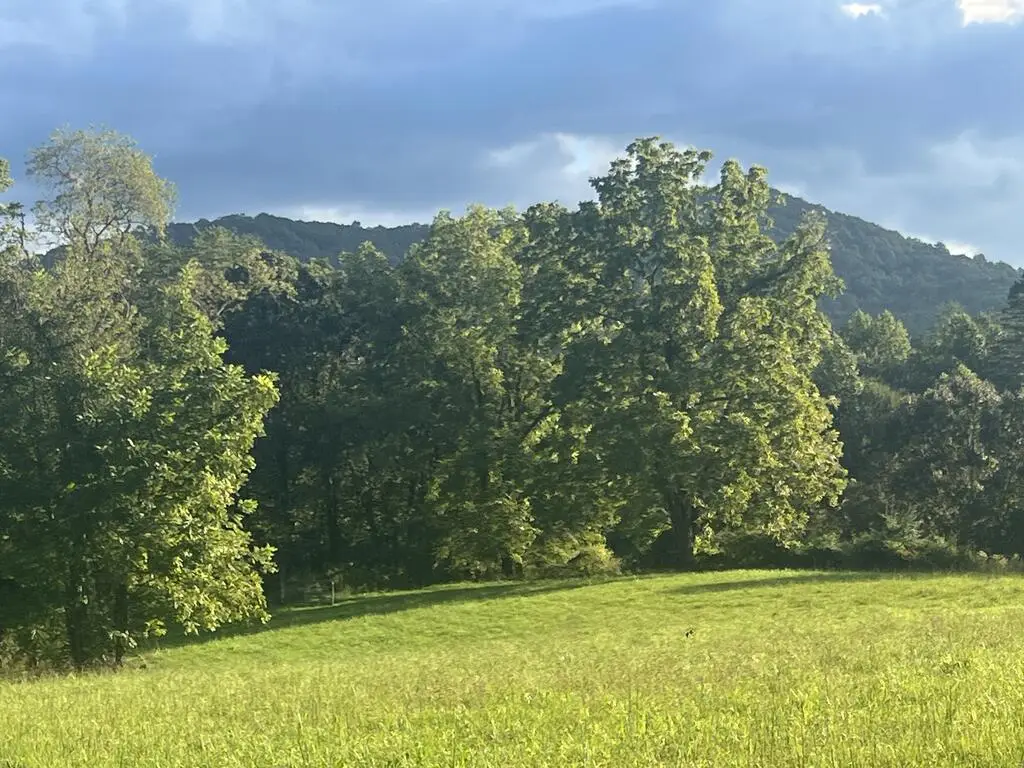 5.8 ac Lebanon Road, Blue Ridge, GA 30513 - #1