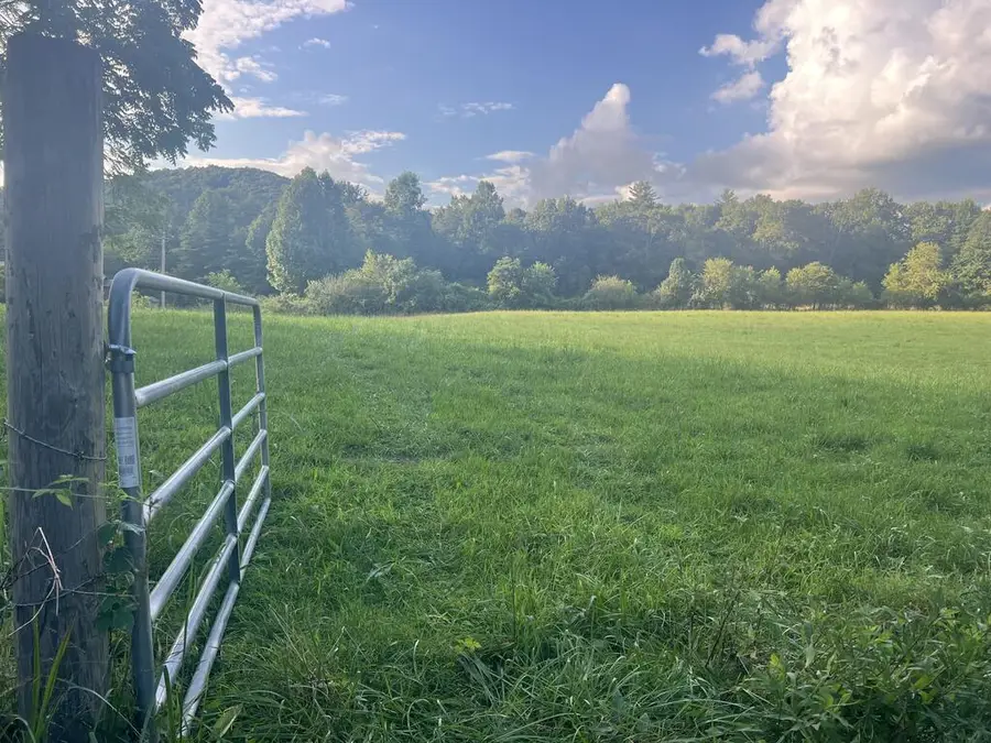 5.8 ac Lebanon Road, Blue Ridge, GA 30513 - #3