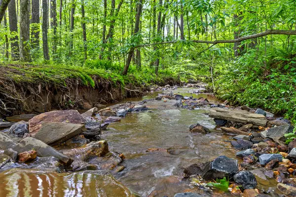 Lot 331 Twisted Oak Road, Talking Rock, GA 30175