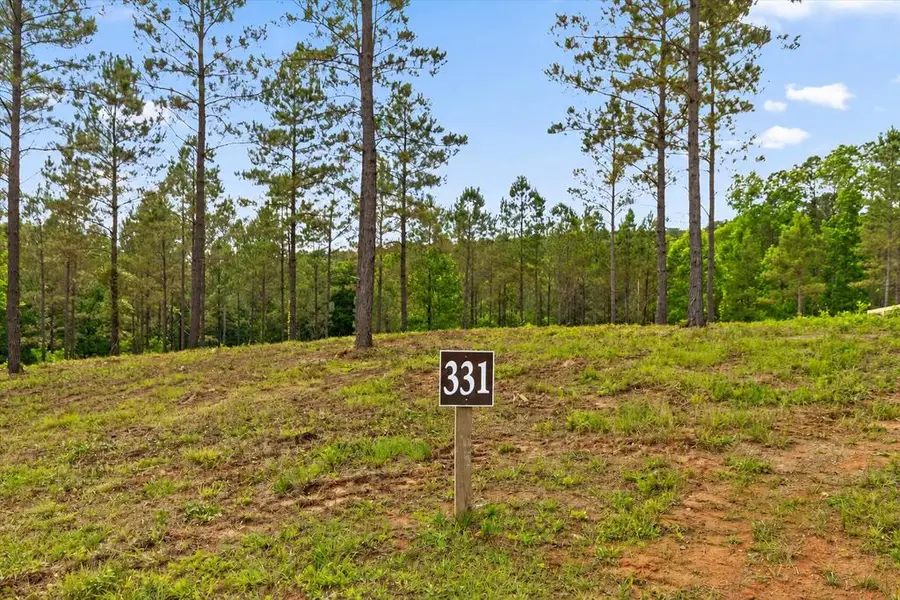 Lot 331 Twisted Oak Road, Talking Rock, GA 30175 - #3
