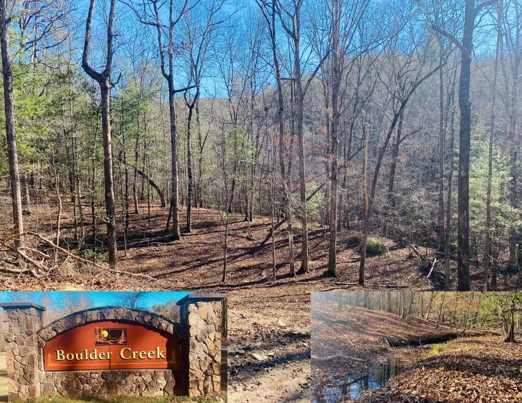 86 Sparks Road, Murphy, NC 28906 - #1