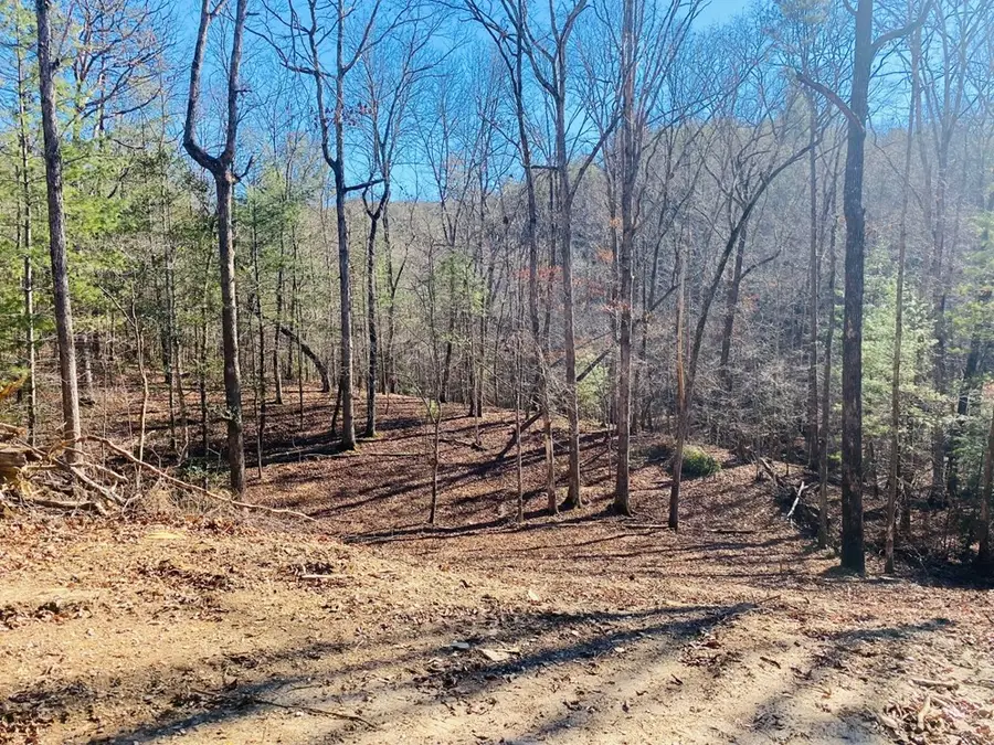 86 Sparks Road, Murphy, NC 28906 - #3