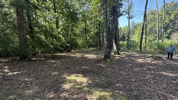 259 Spring Hills Lane, Blairsville, GA 30512