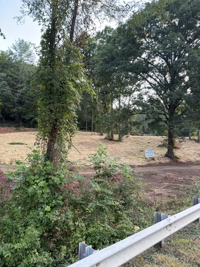 2342 Us Hwy 76 W, Hiawassee, GA 30546 - #2