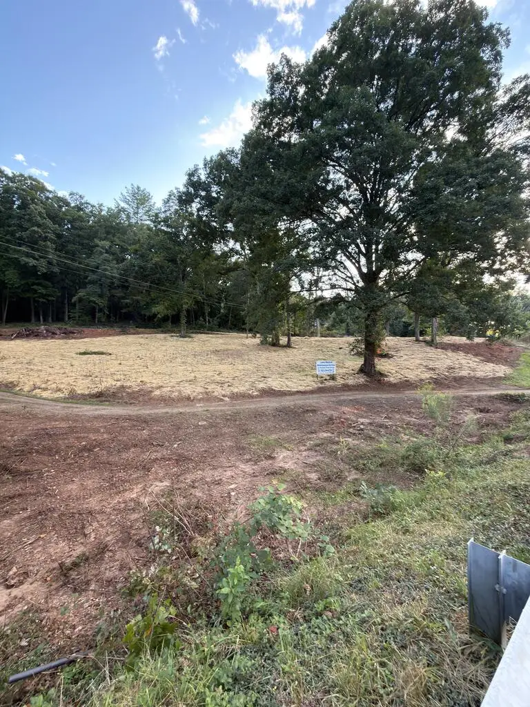 2342 Us Hwy 76 W, Hiawassee, GA 30546 - #3