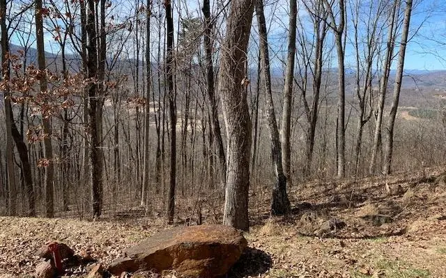 Lot 2 Rocky Knob Estates, Young Harris, GA 30582 - #2