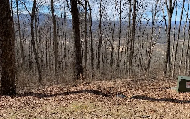 Lot 2 Rocky Knob Estates, Young Harris, GA 30582 - #3