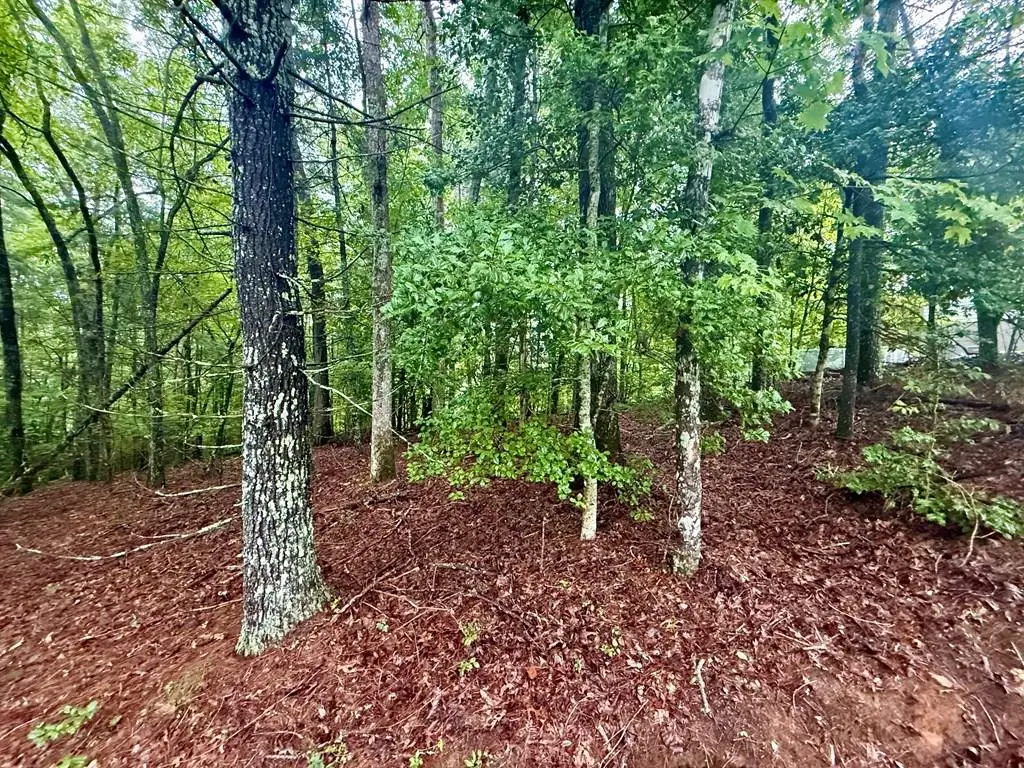 Lot 15 White Pine Ridge, Hayesville, NC 28904 - #1