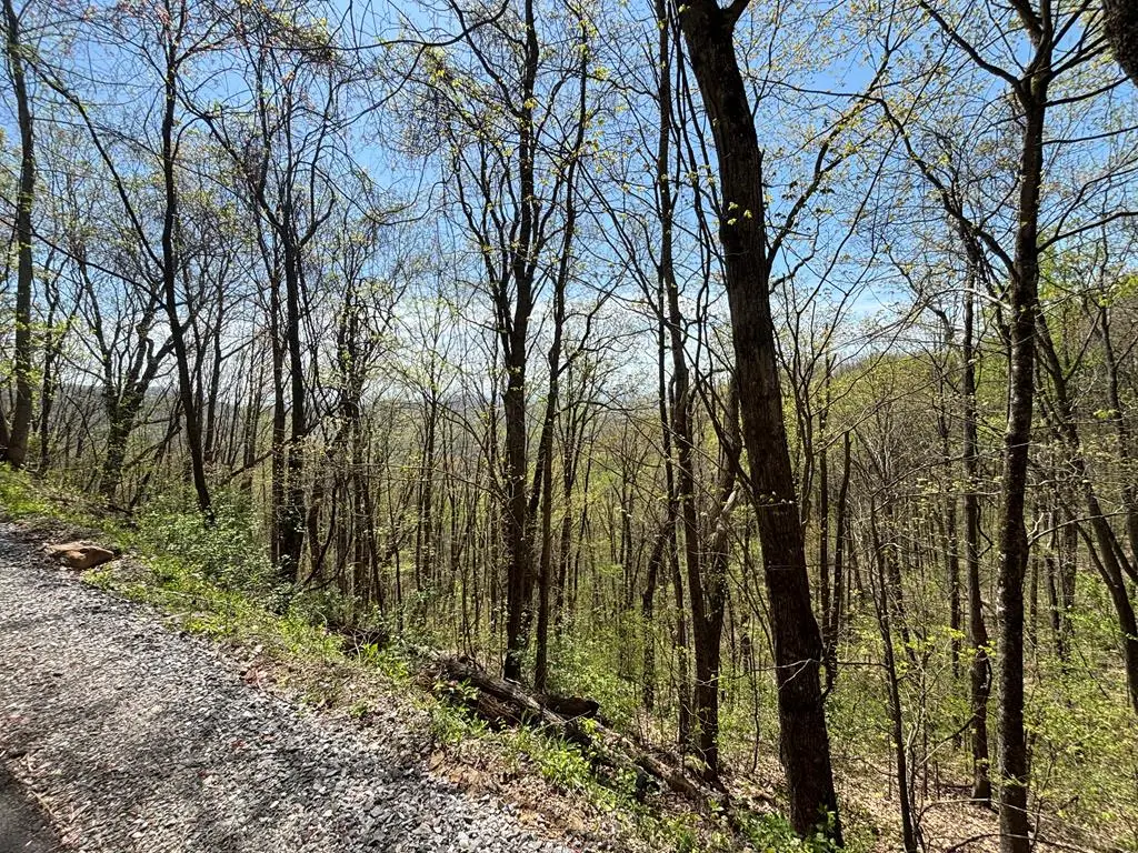 Lot 4 Outlook Road, Murphy, NC 28906 - #1