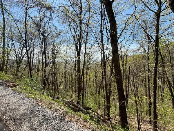Lot 4 Outlook Road, Murphy, NC 28906