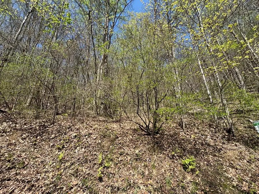 Lot 4 Outlook Road, Murphy, NC 28906 - #2