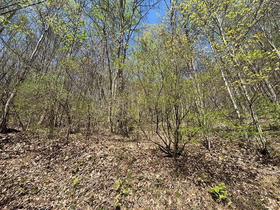Lot 4 Outlook Road, Murphy, NC 28906 - #3