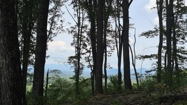 1.5Acres High Summit Drive, Talking Rock, GA 30540