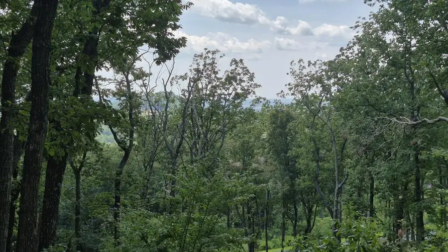 1.5Acres High Summit Drive, South Gilmer, GA 30540 - #2