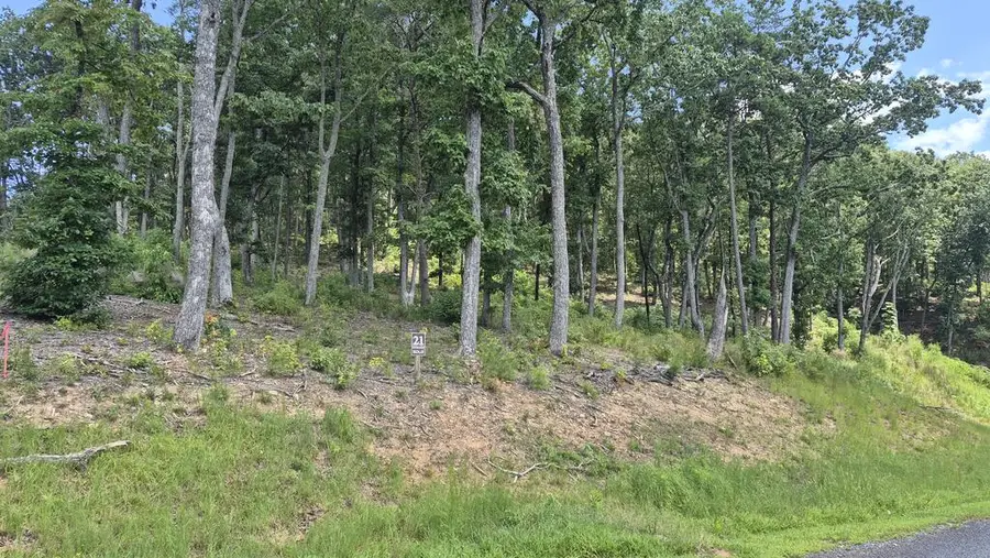 1.5Acres High Summit Drive, South Gilmer, GA 30540 - #3