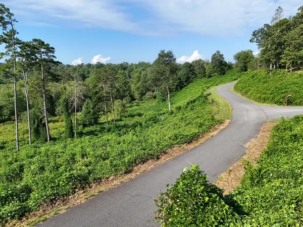 Lot 30 Arbor Creek Trail, Mineral Bluff, GA 30559