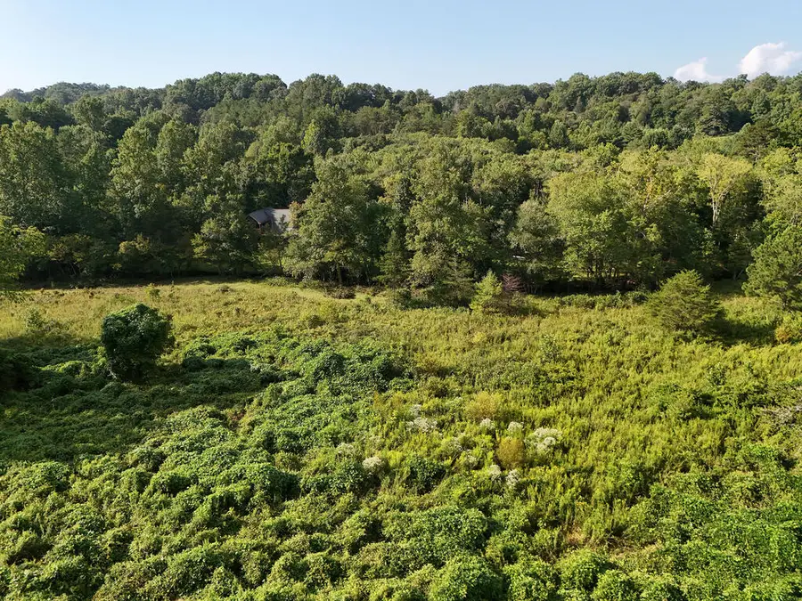 Lot 30 Arbor Creek Trail, Mineral Bluff, GA 30559 - #3