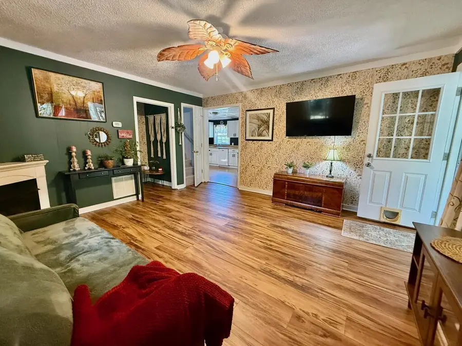 253 Truett Camp Road, Hayesville, NC 28904 - #3