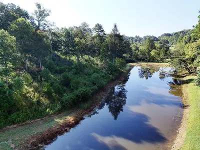 Lot 36 Creekview Trail, Mineral Bluff, GA 30559 - #2