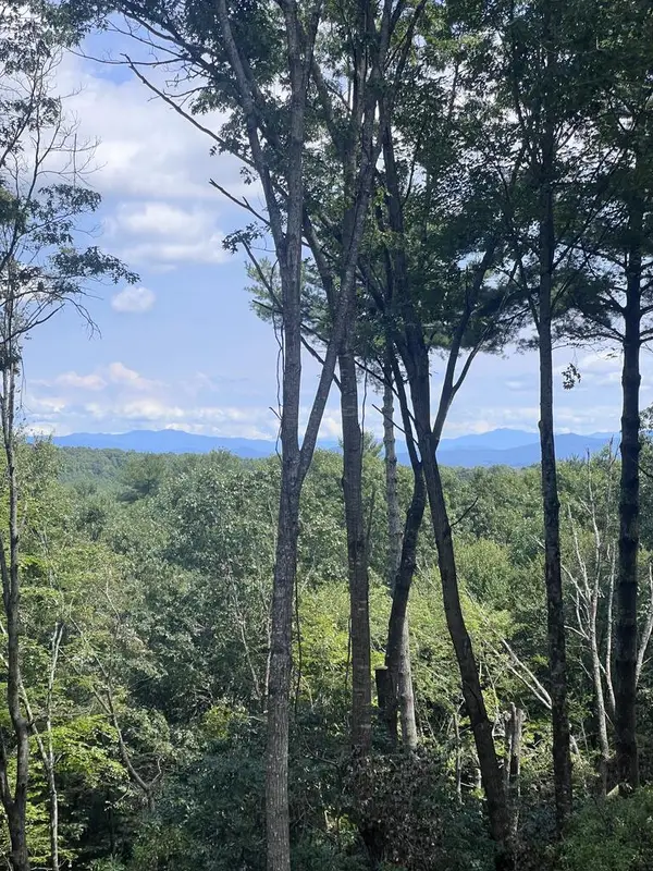 Lot 7 Austin Mountain Road, Mineral Bluff, GA 30559