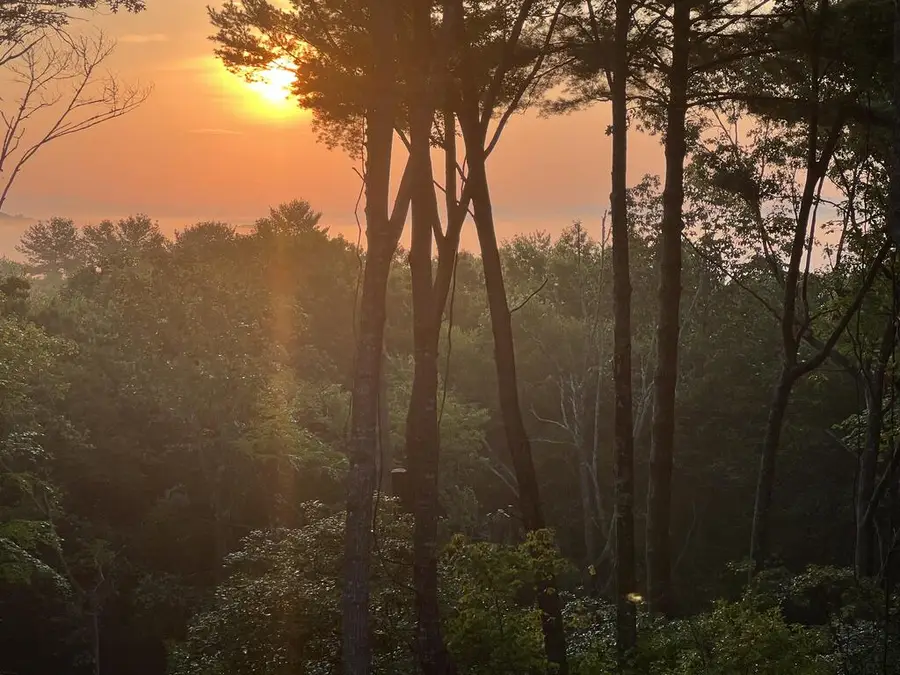 Lot 7 Austin Mountain Road, Mineral Bluff, GA 30559 - #2